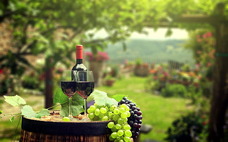 Hi Wine Lovers, Kunjungi 10 Kebun Anggur Terbaik di Dunia Yuk!